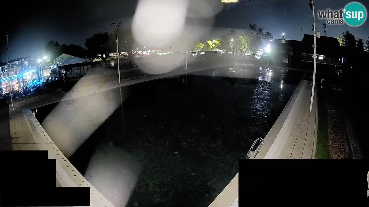 Webcam Celje – Main swimming pool