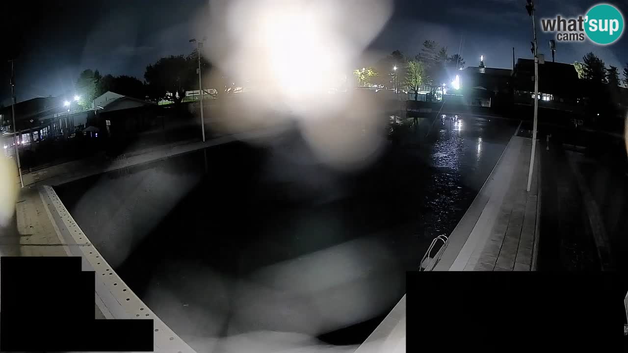 Webcam Celje – Main swimming pool