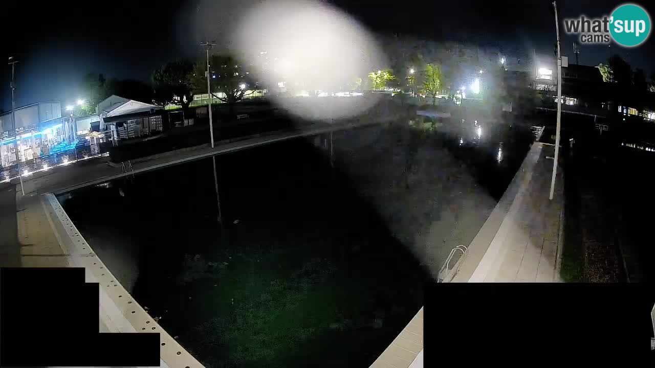 Webcam Celje – Main swimming pool
