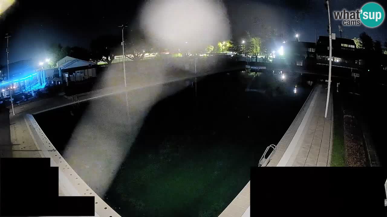 Webcam Celje – Main swimming pool