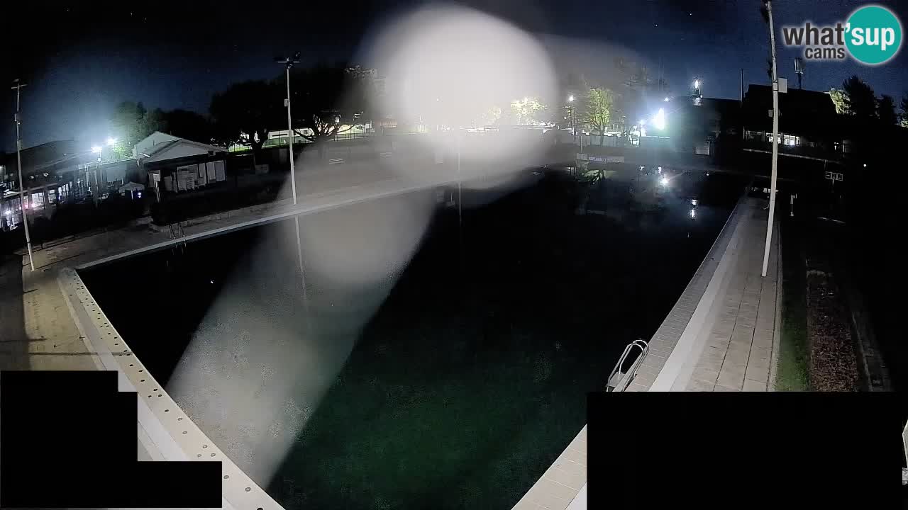 Webcam Celje – Main swimming pool