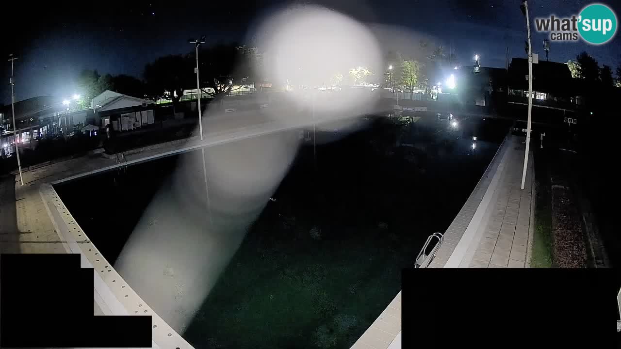 Webcam Celje – Main swimming pool