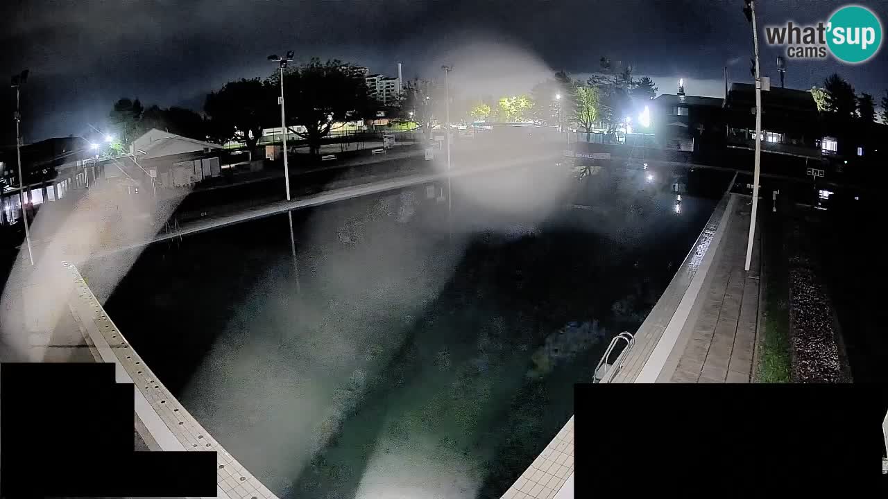 Cámara web Celje – Piscina principal