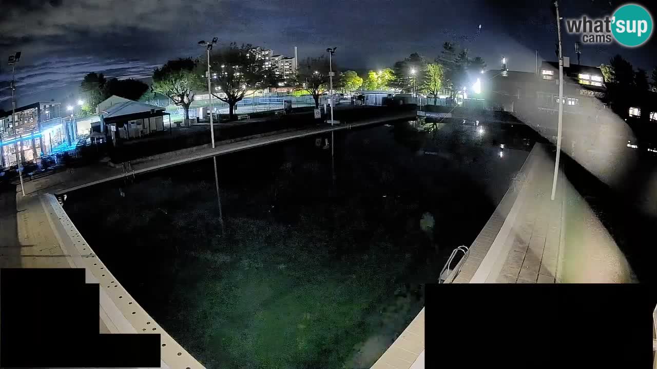 Webcam Celje – Main swimming pool