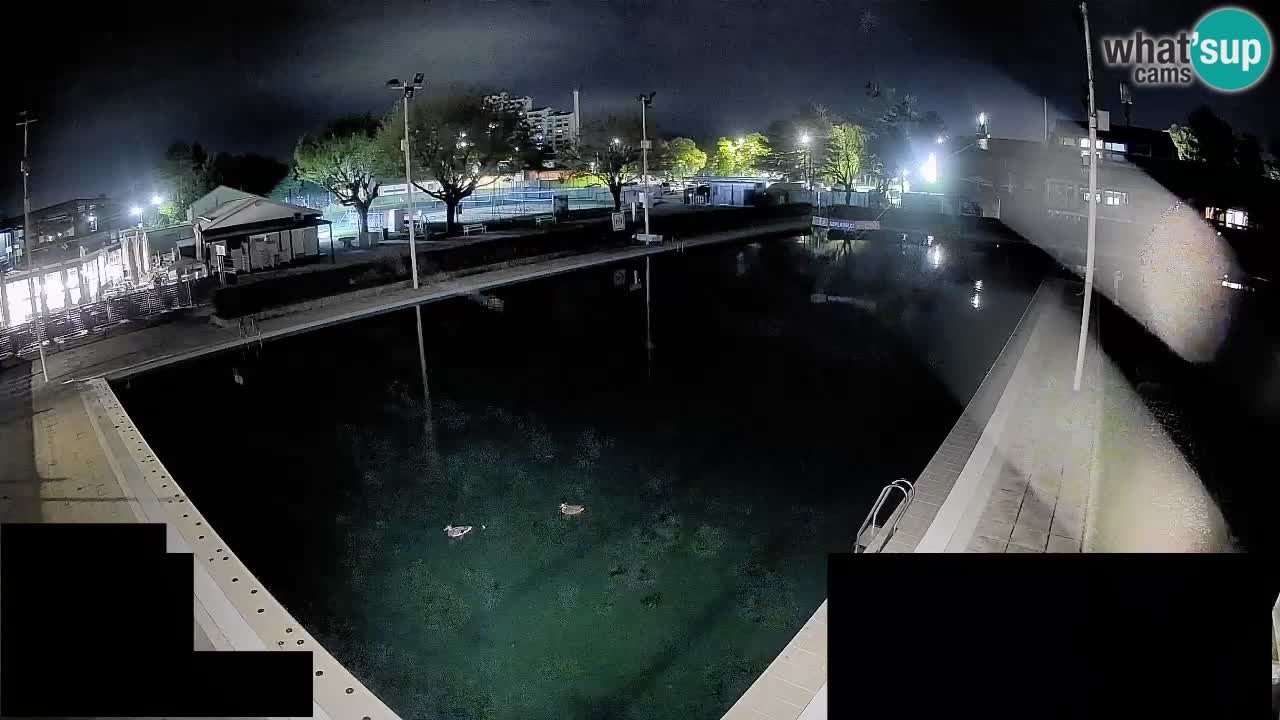 Cámara web Celje – Piscina principal