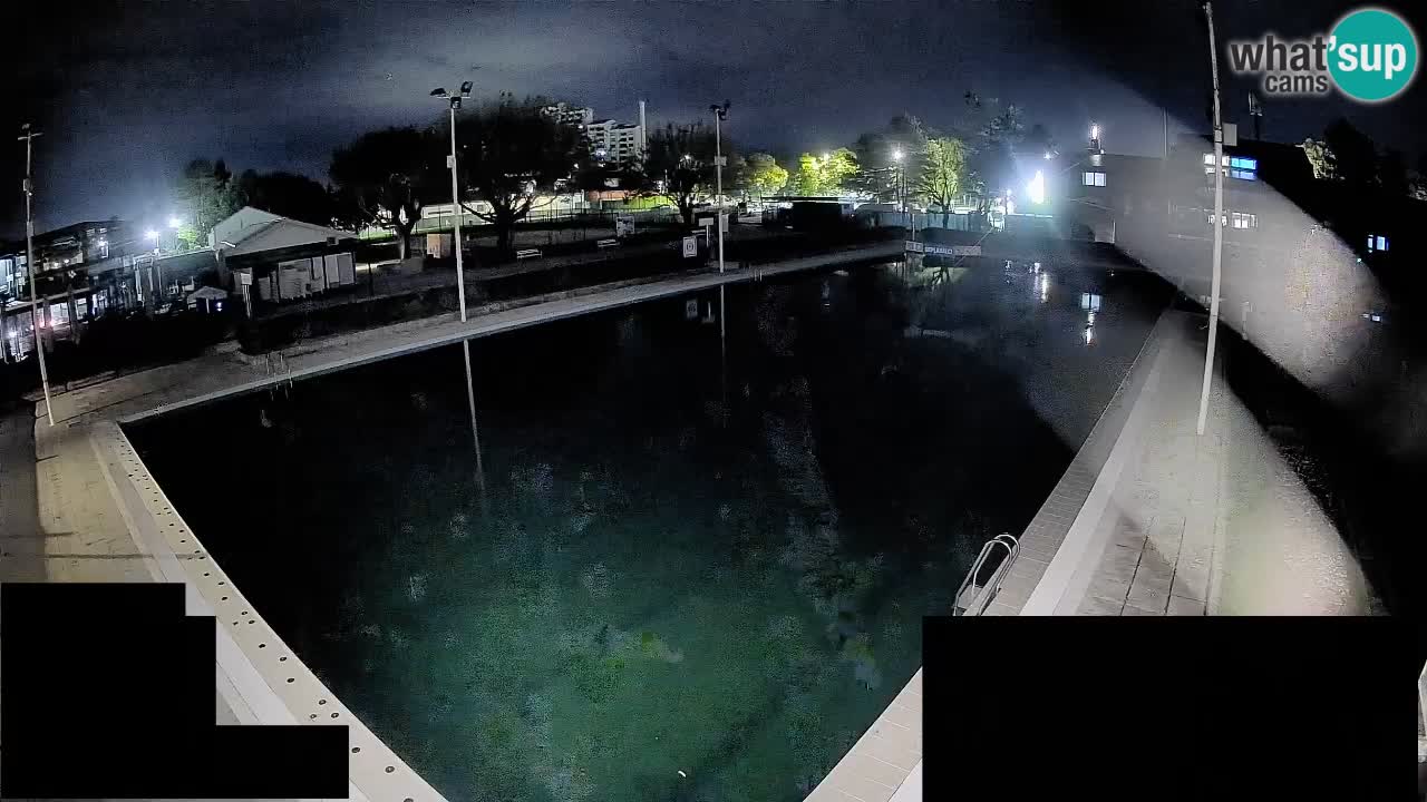 Webcam Celje – Main swimming pool
