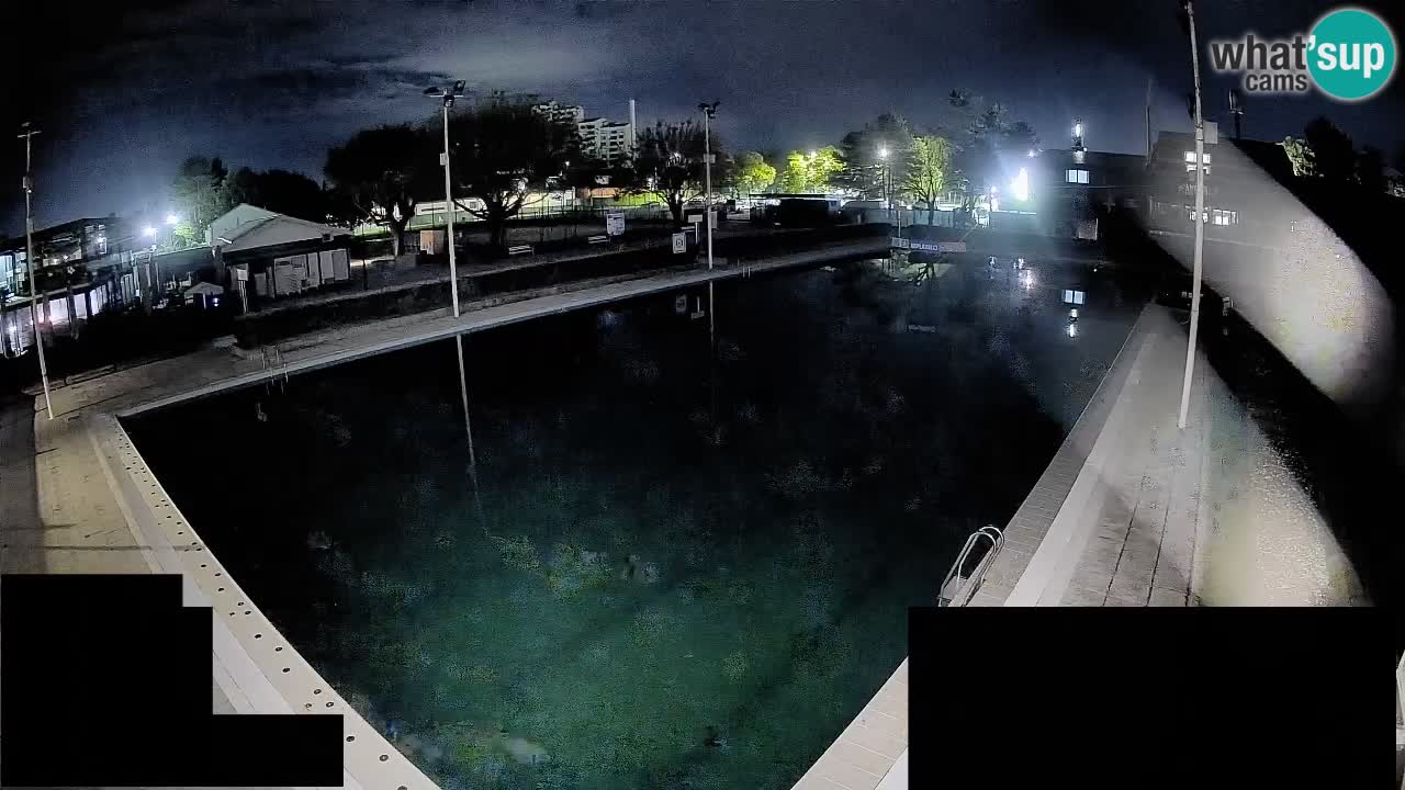 Webcam Celje – Main swimming pool