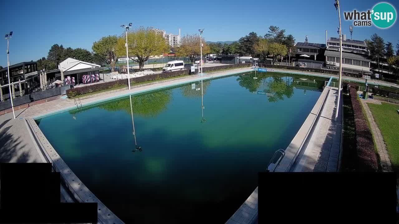 Webcam Celje – Main swimming pool