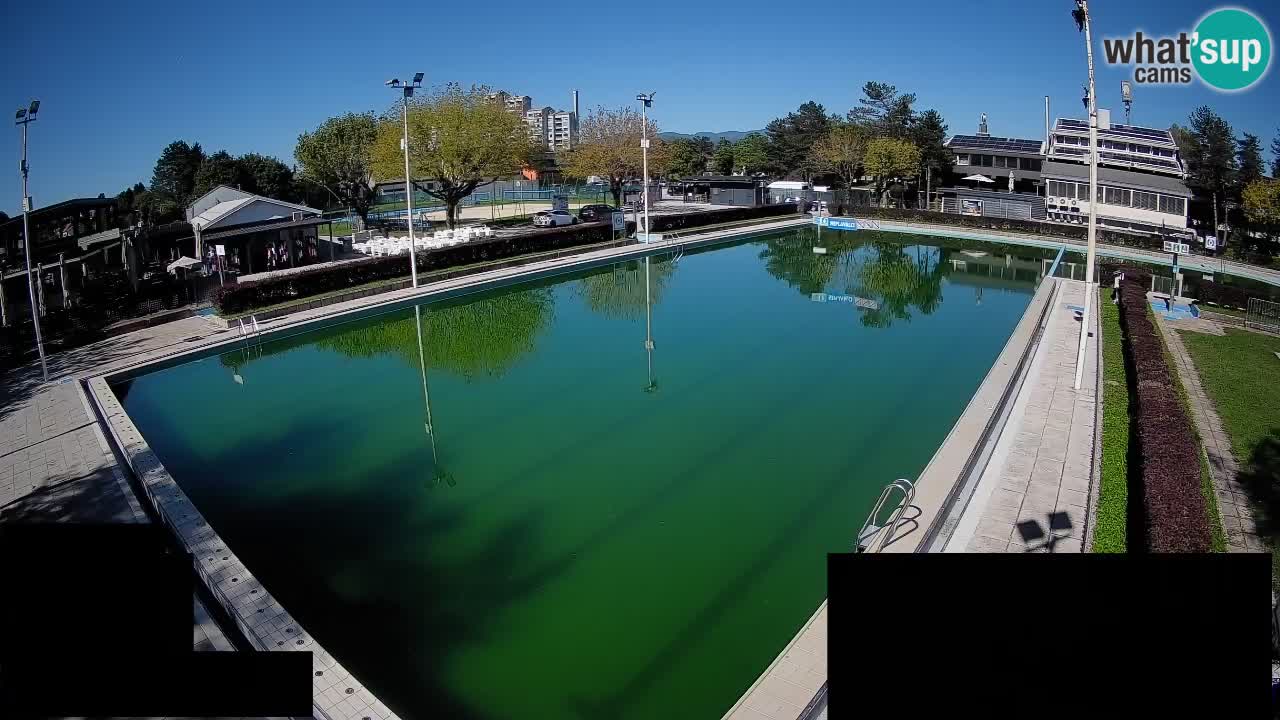 Webcam Celje – Main swimming pool