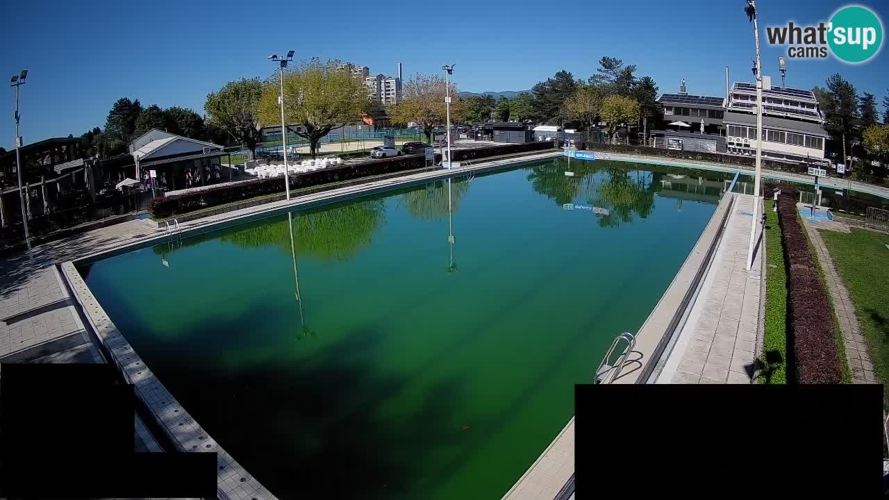 Webcam Celje – Main swimming pool