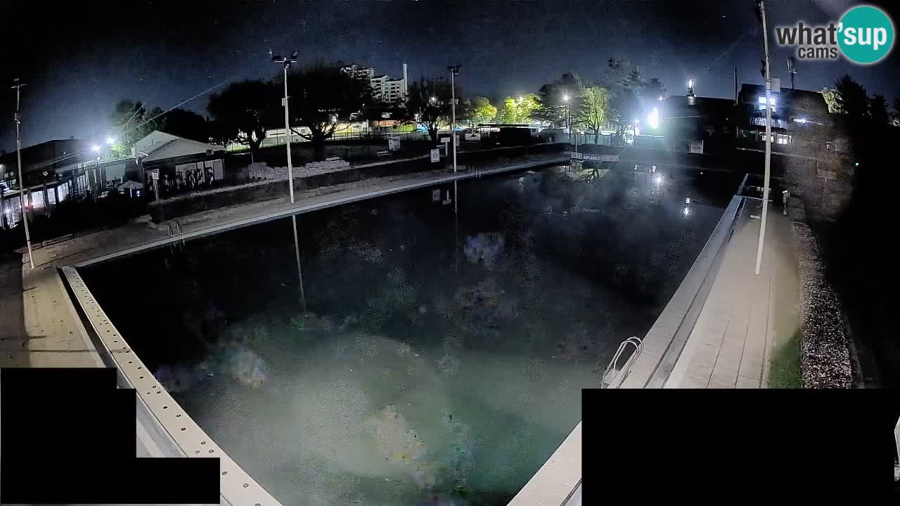 Webcam Celje – Main swimming pool