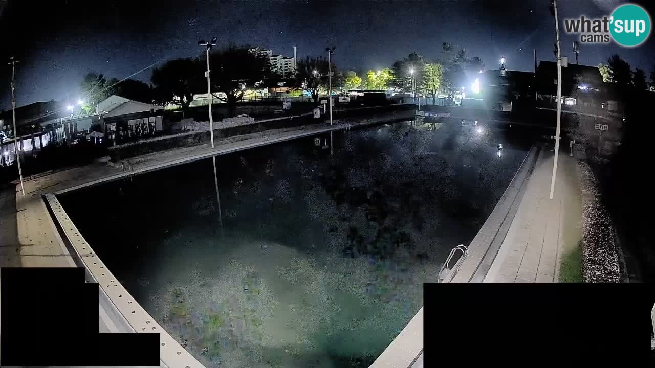 Webcam Celje – Main swimming pool
