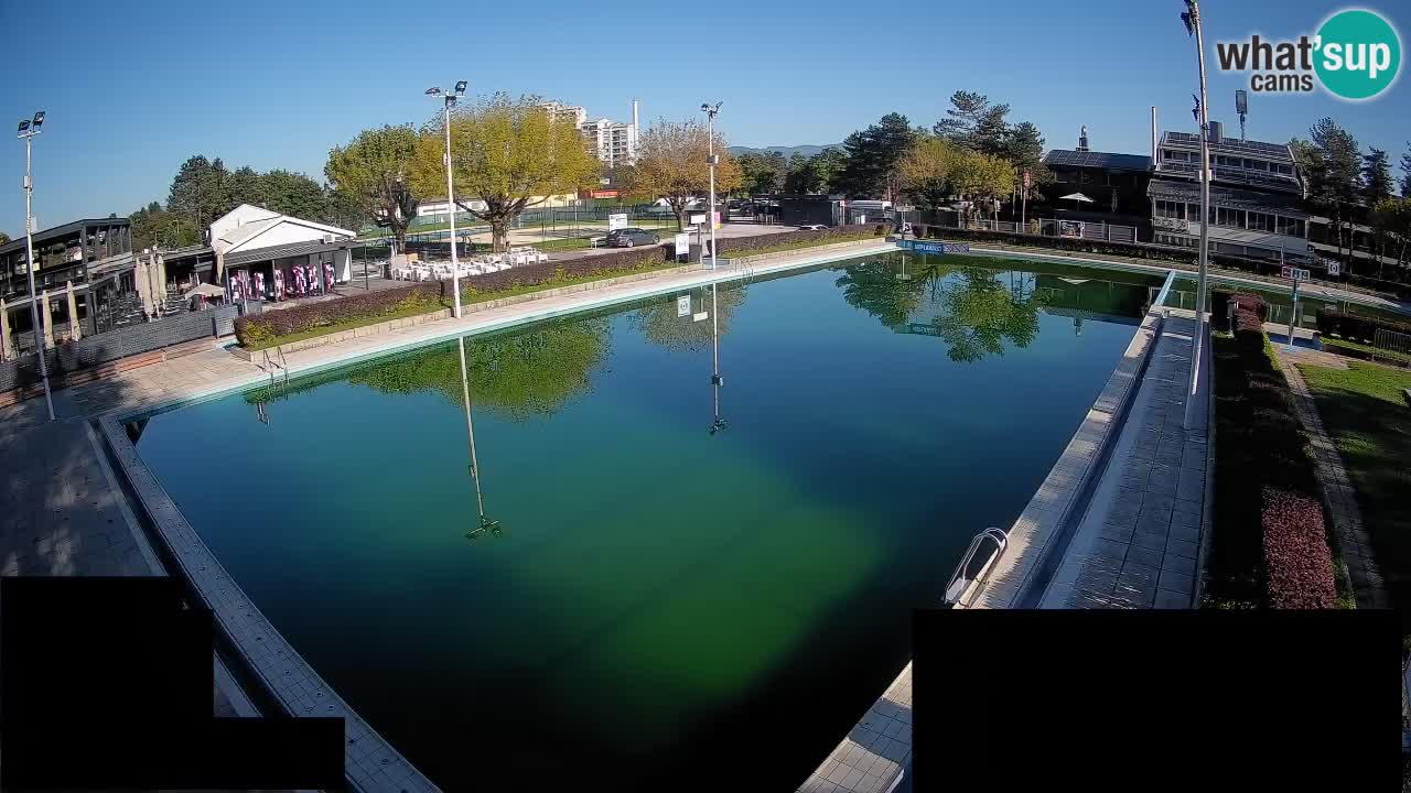 Webcam Celje – Main swimming pool