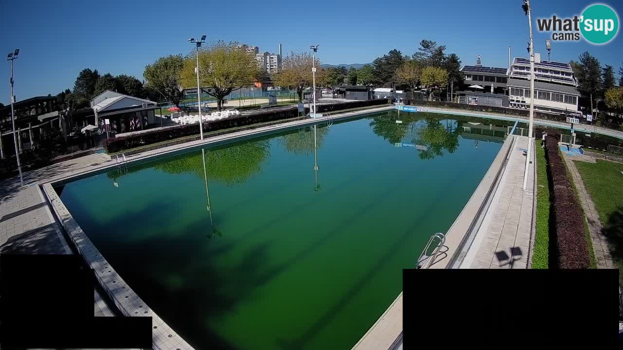 Webcam Celje – Main swimming pool