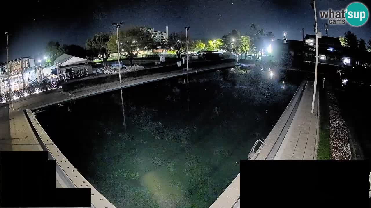 Webcam Celje – Main swimming pool