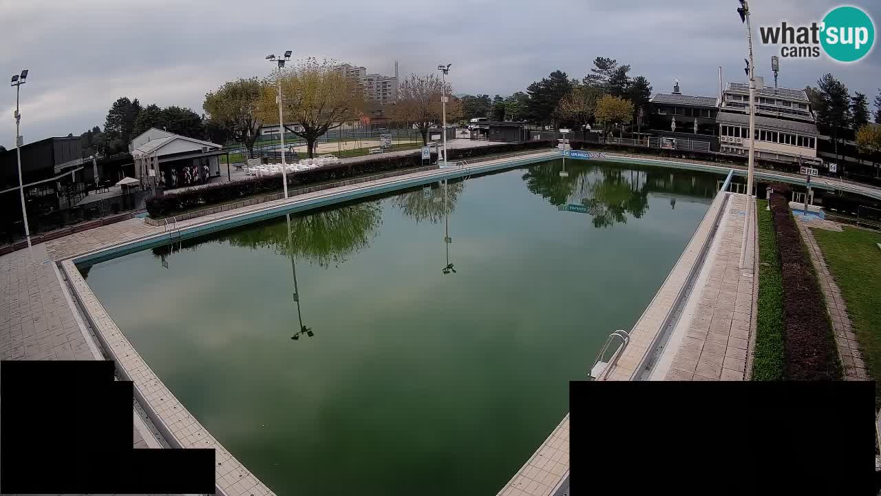 Webcam Celje – Main swimming pool
