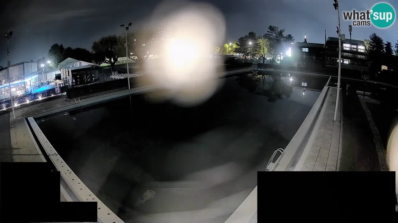 Webcam Celje – Main swimming pool