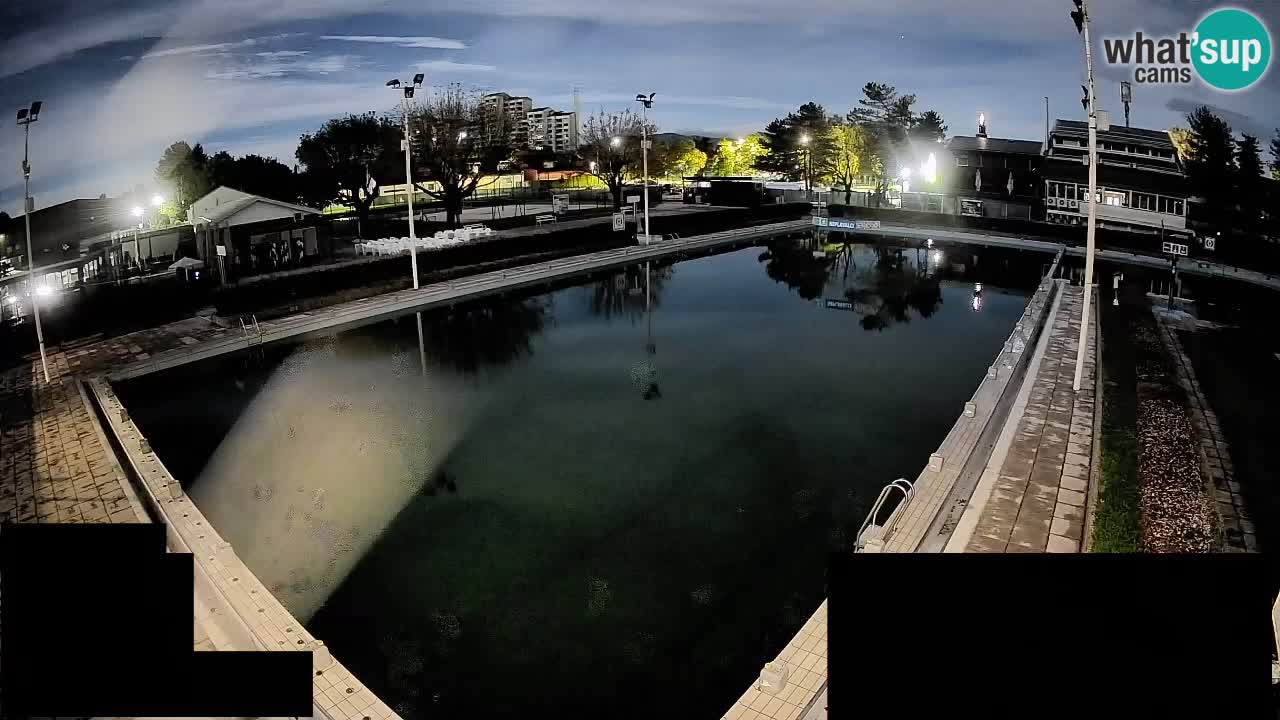 Webcam Celje – Main swimming pool