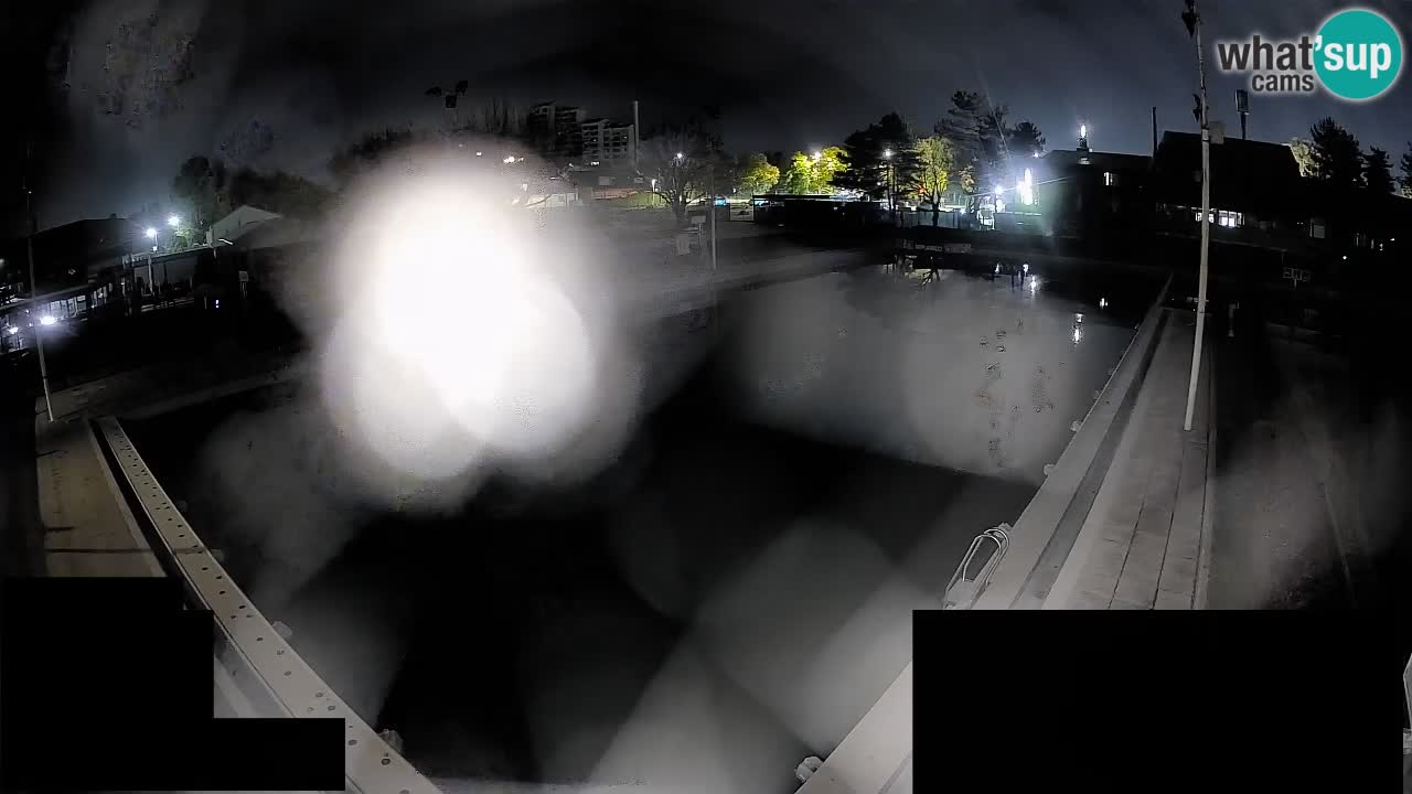 Webcam Celje – Main swimming pool