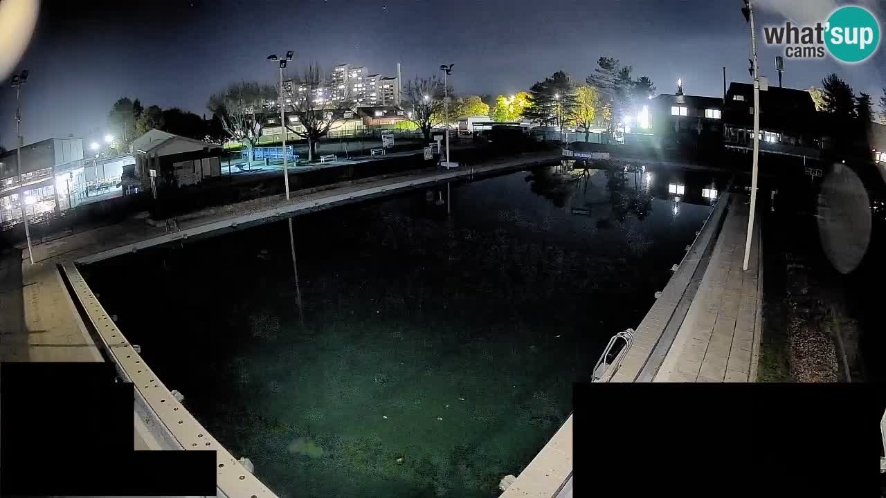 Webcam Celje – Piscine principale