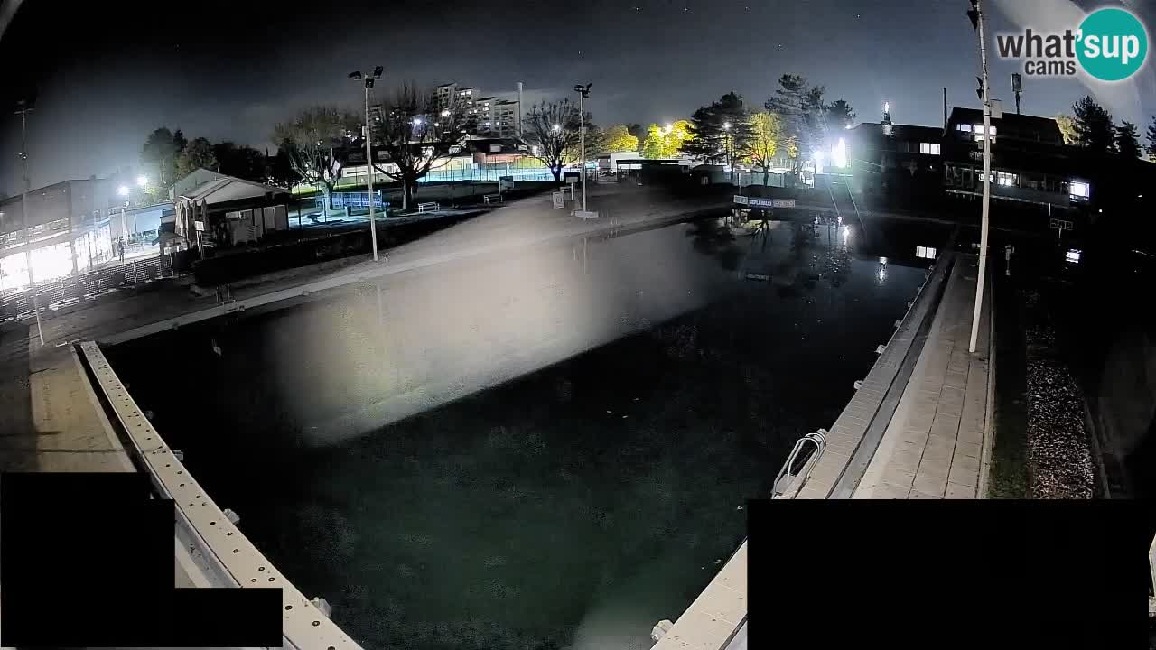 Webcam Celje – Main swimming pool