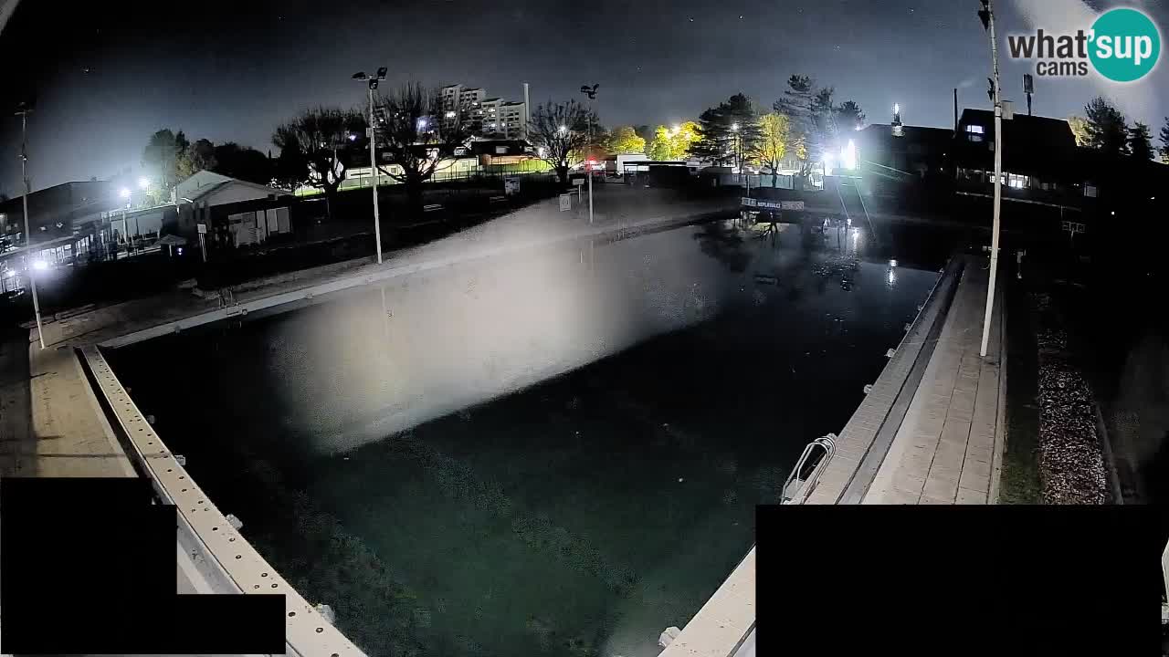 Webcam Celje – Main swimming pool