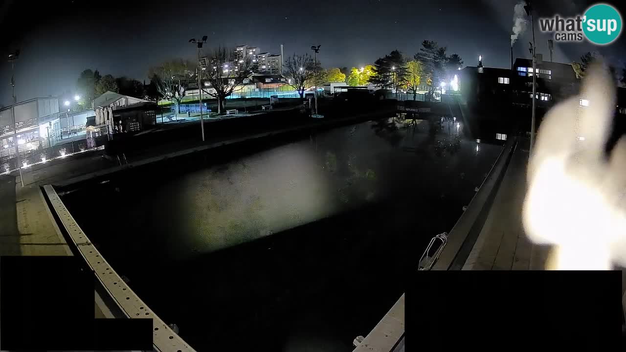 Webcam Celje – Main swimming pool