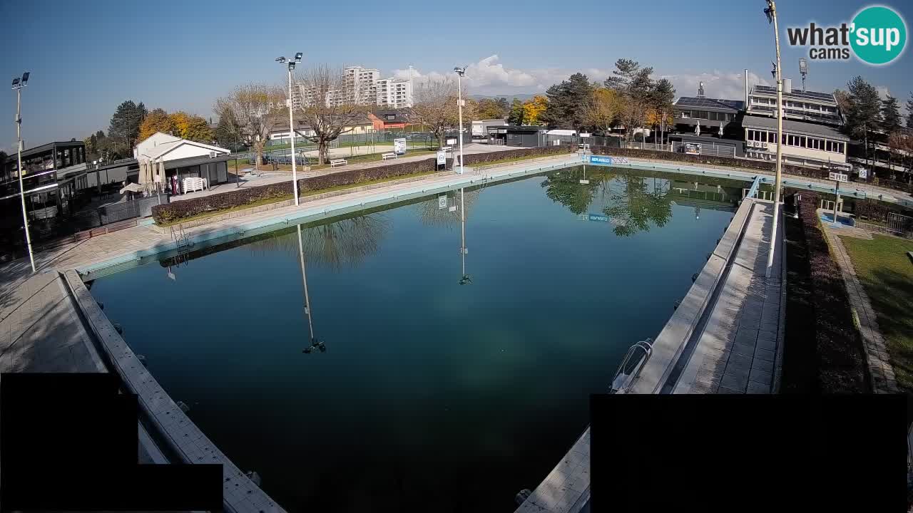 Webcam Celje – Main swimming pool