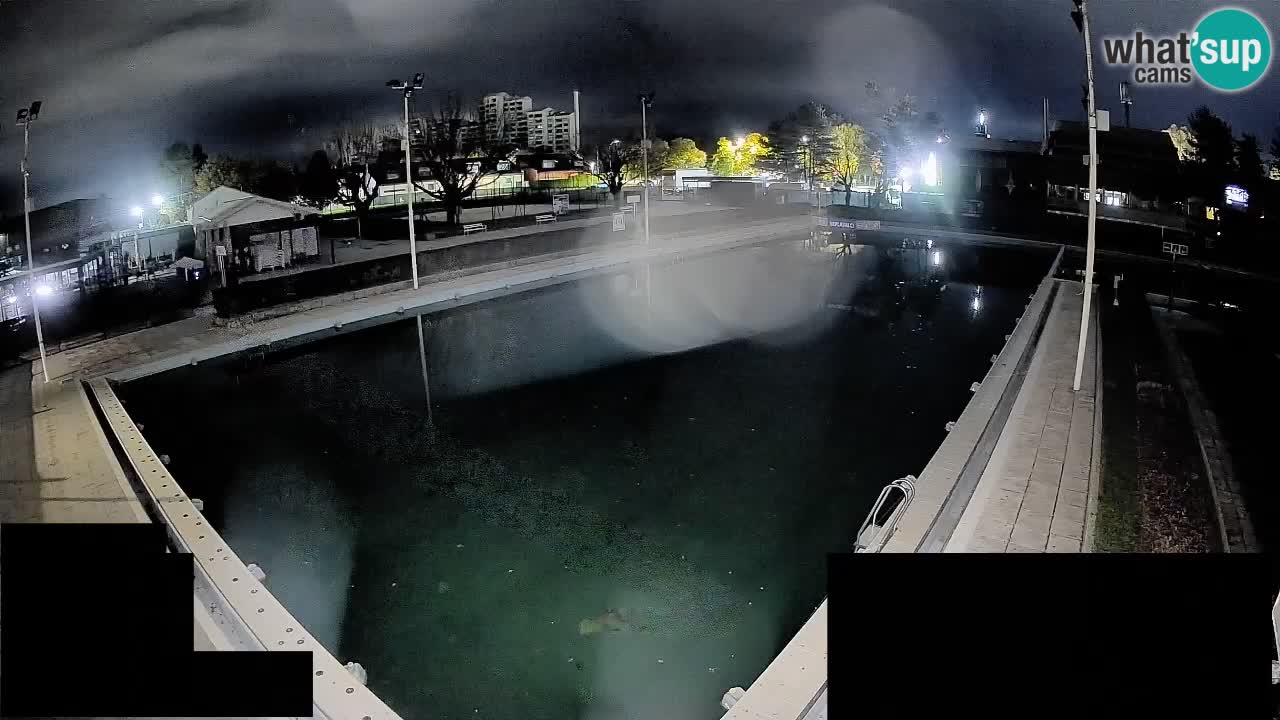 LiveCam Celje – Piscina principale