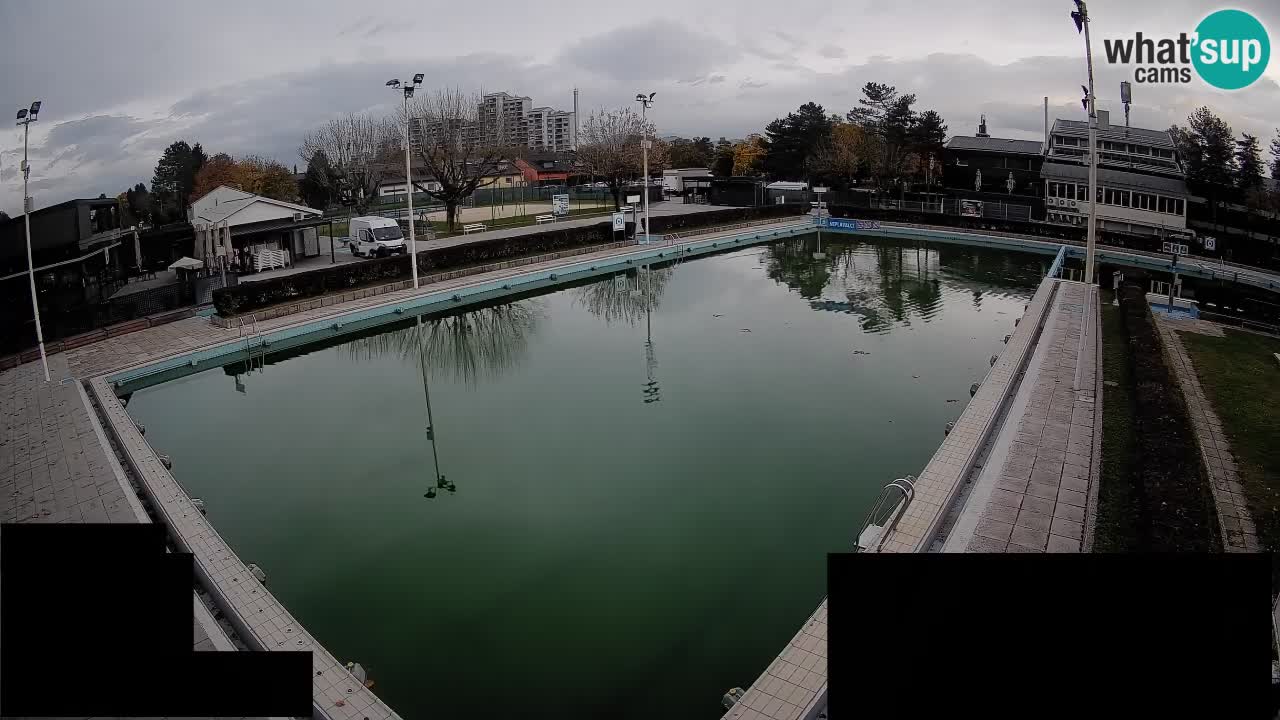 Webcam Celje – Main swimming pool