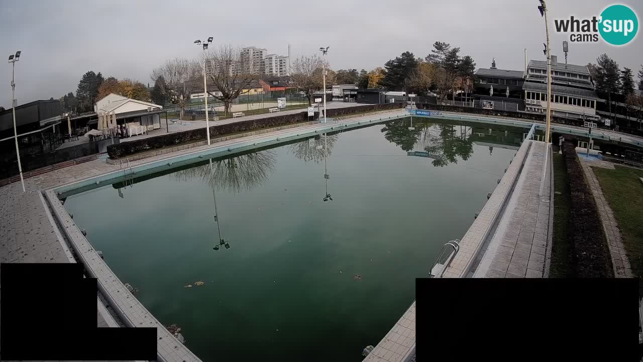Webcam Celje – Main swimming pool