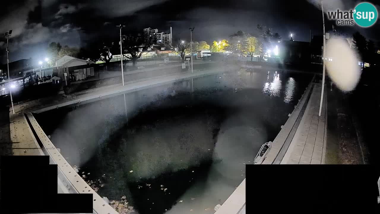 Webcam Celje – Hauptschwimmbad
