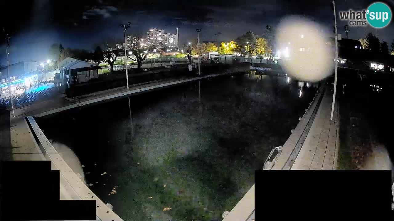LiveCam Celje – Piscina principale