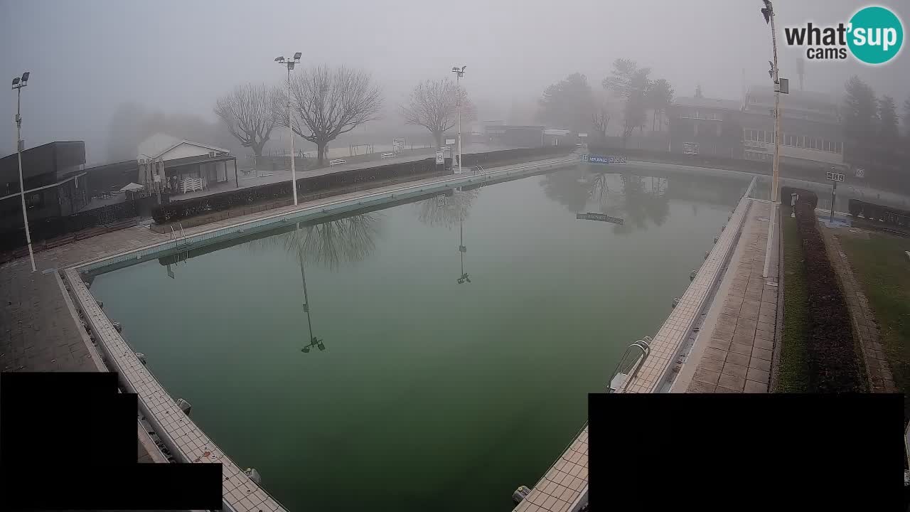 Webcam Celje – Main swimming pool