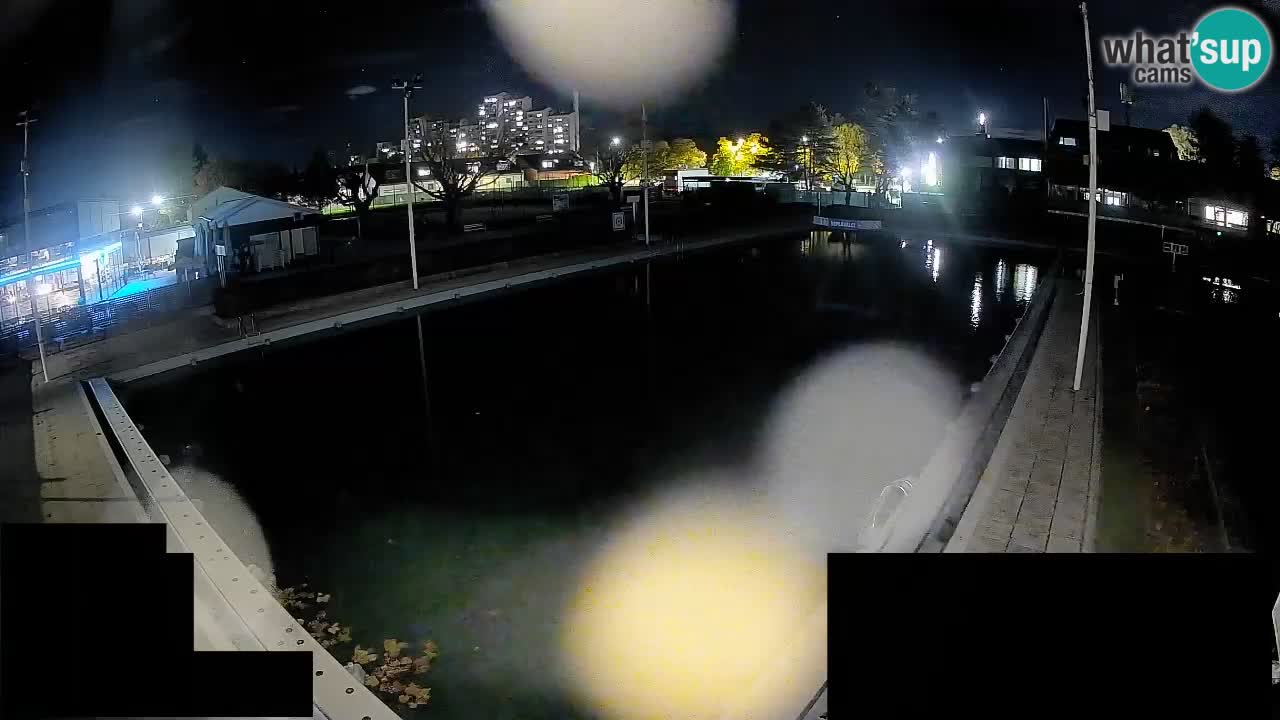 LiveCam Celje – Piscina principale