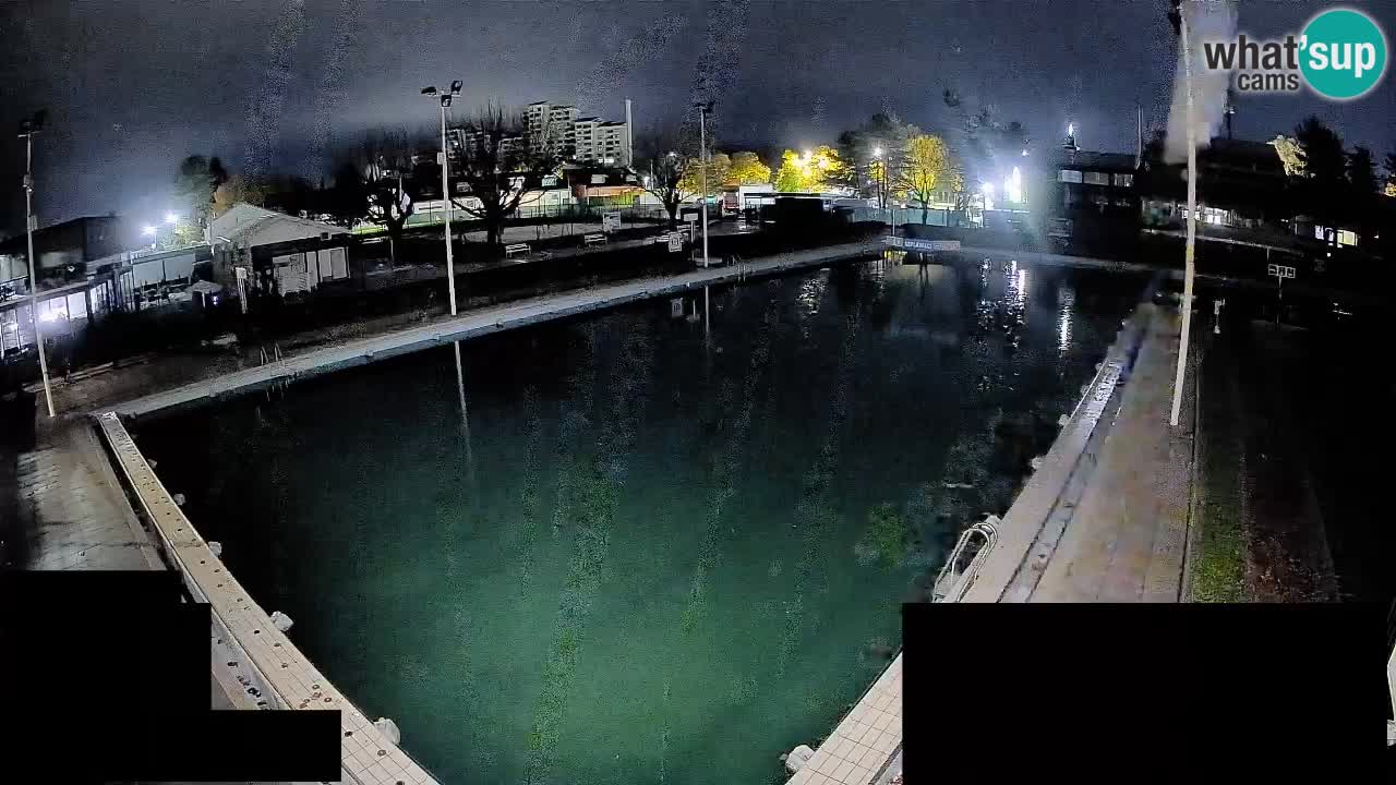 Webcam Celje – Main swimming pool