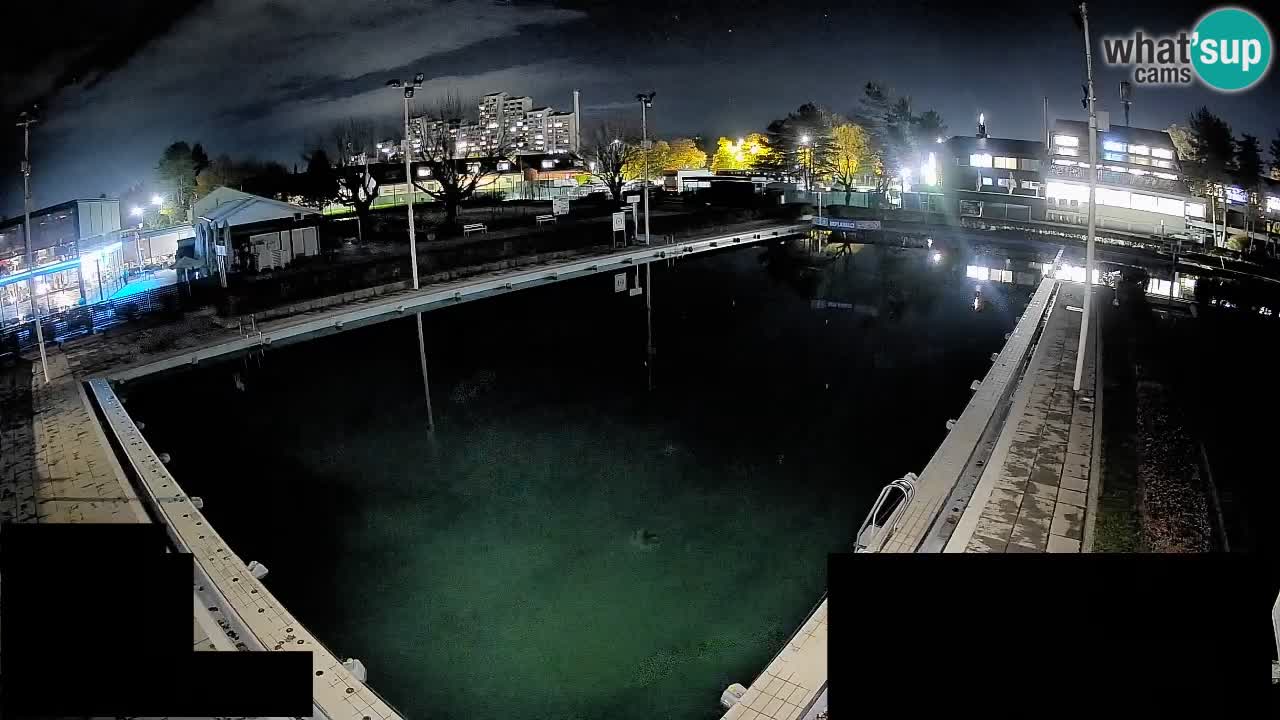 Webcam Celje – Main swimming pool