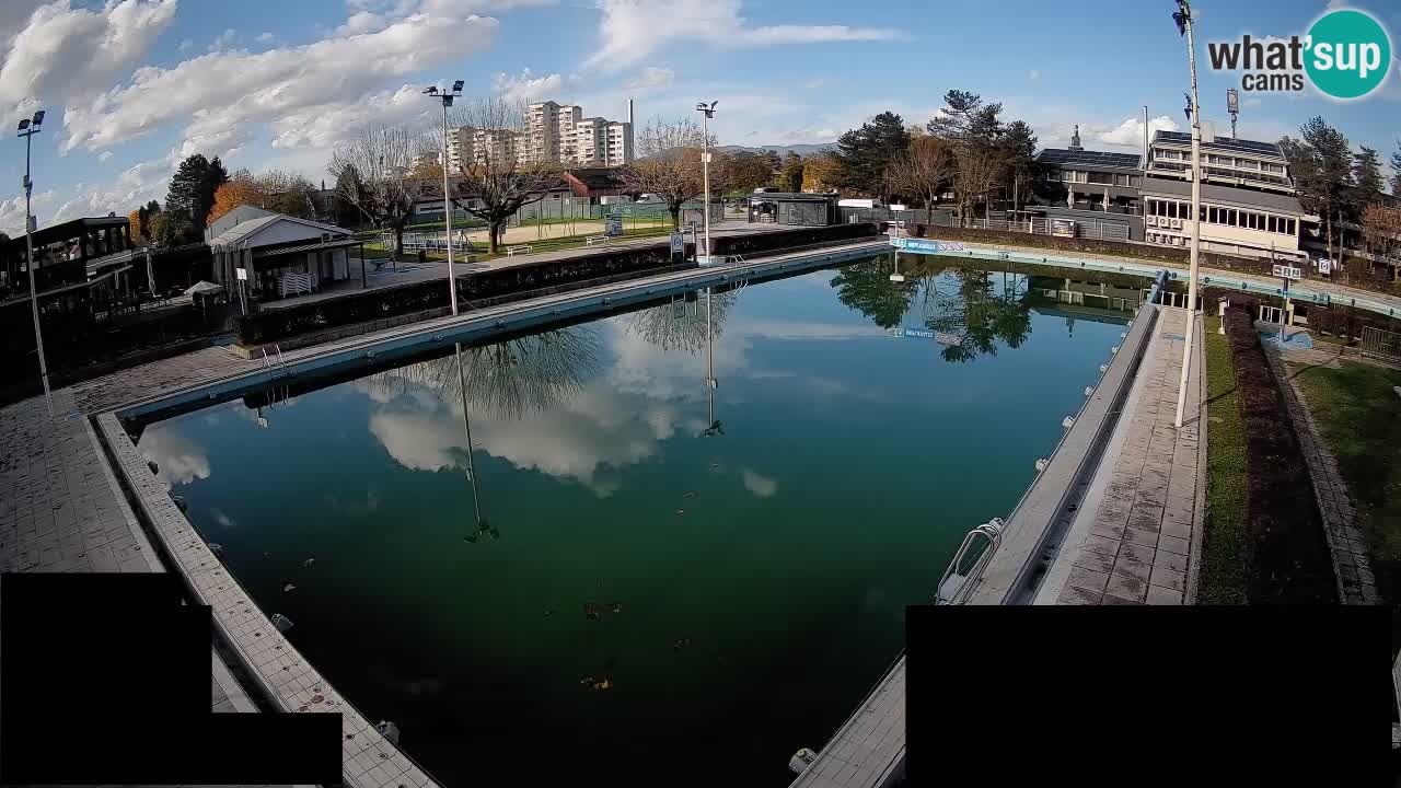 Webcam Celje – Main swimming pool