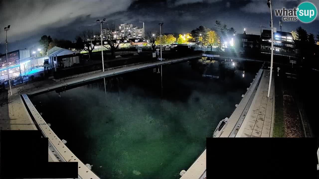 Cámara web Celje – Piscina principal