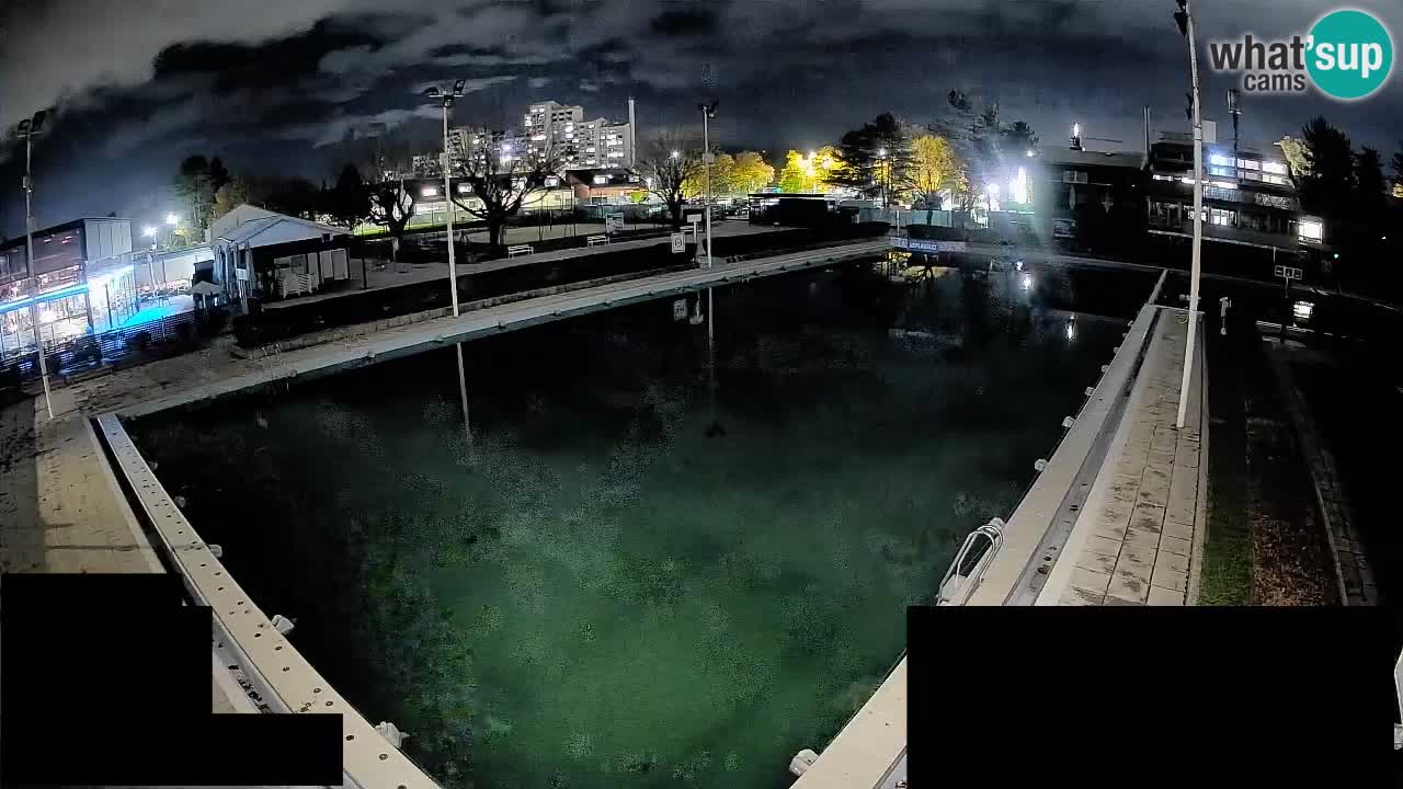 Cámara web Celje – Piscina principal
