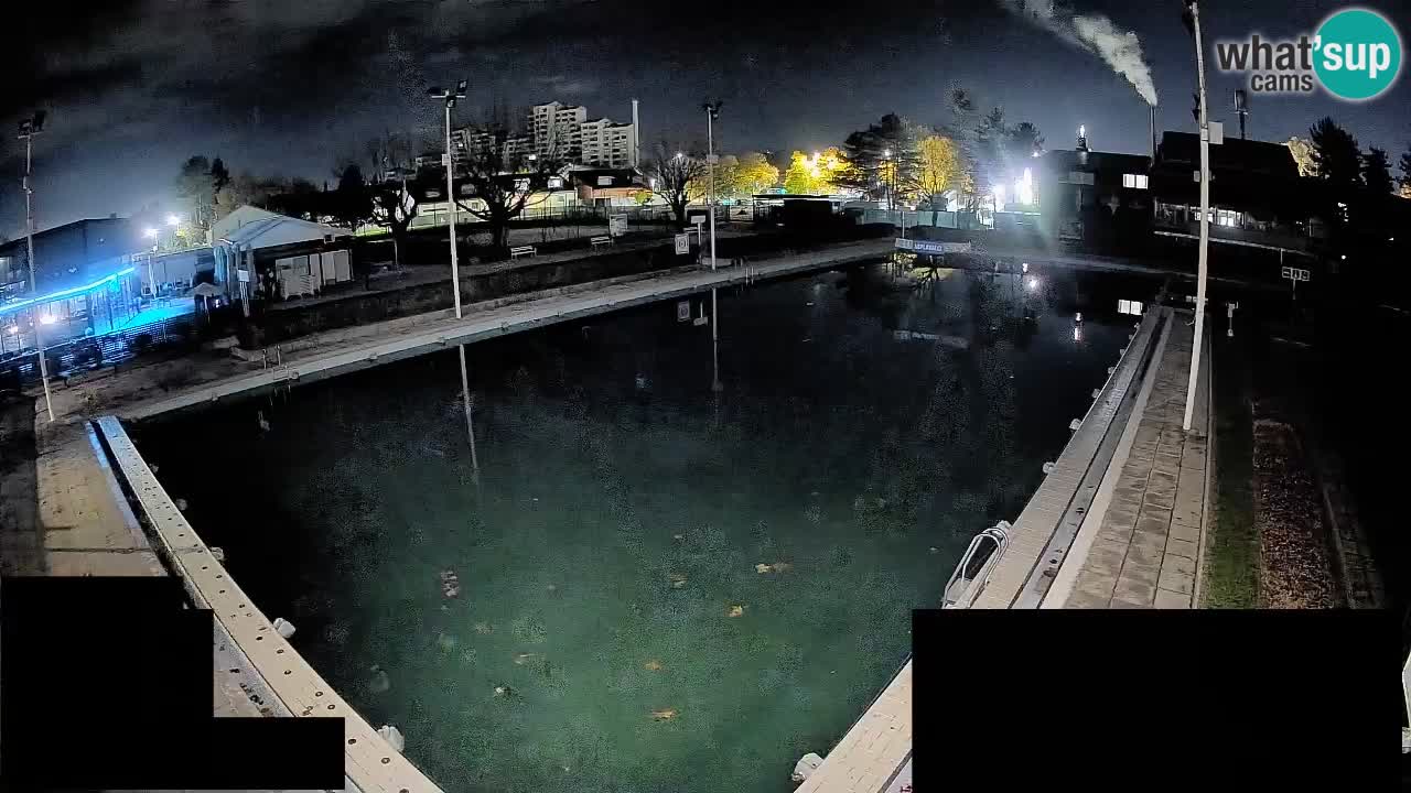 Webcam Celje – Main swimming pool
