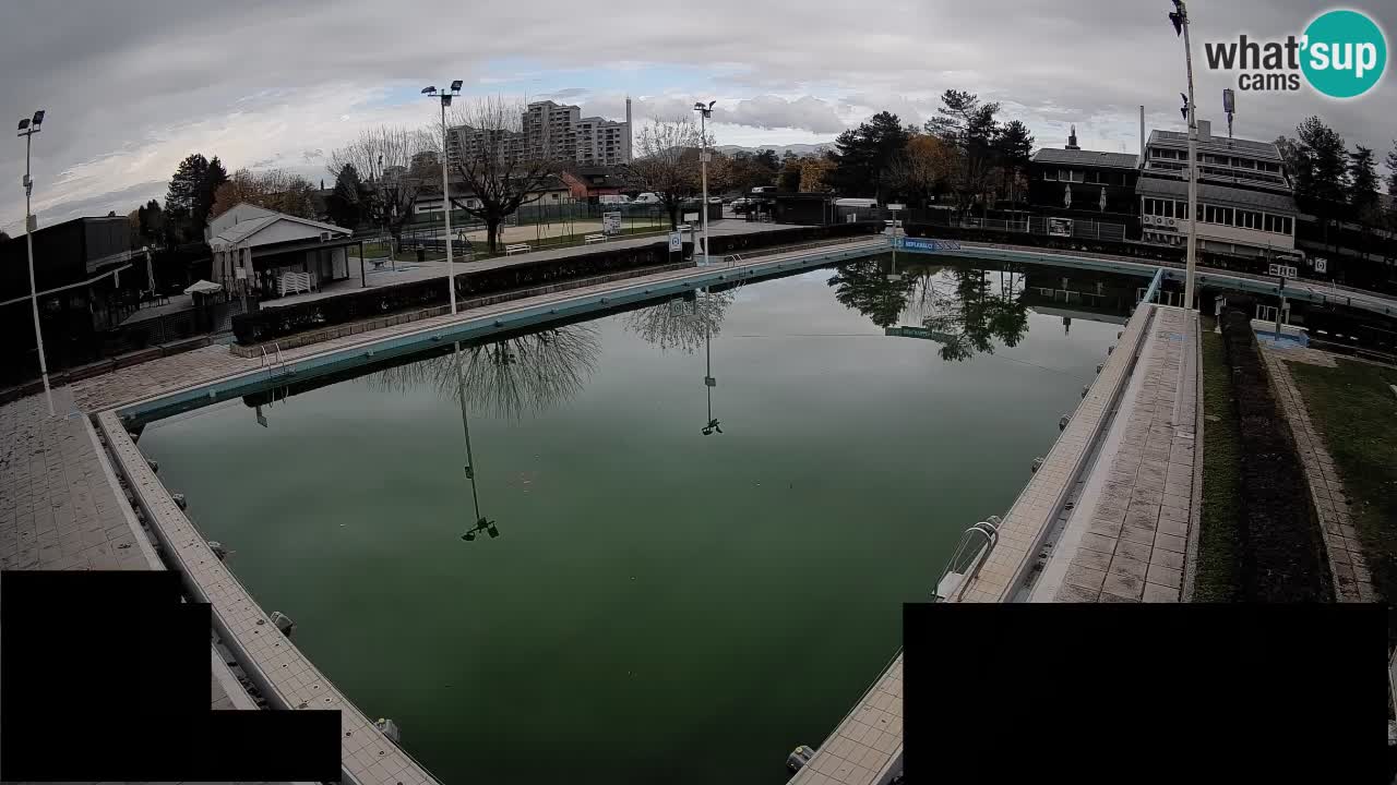 Webcam Celje – Main swimming pool