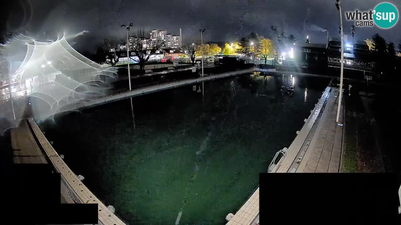 Webcam Celje – Main swimming pool