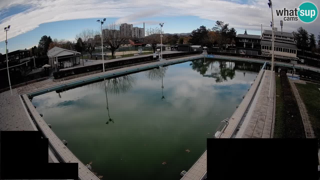 Webcam Celje – Main swimming pool