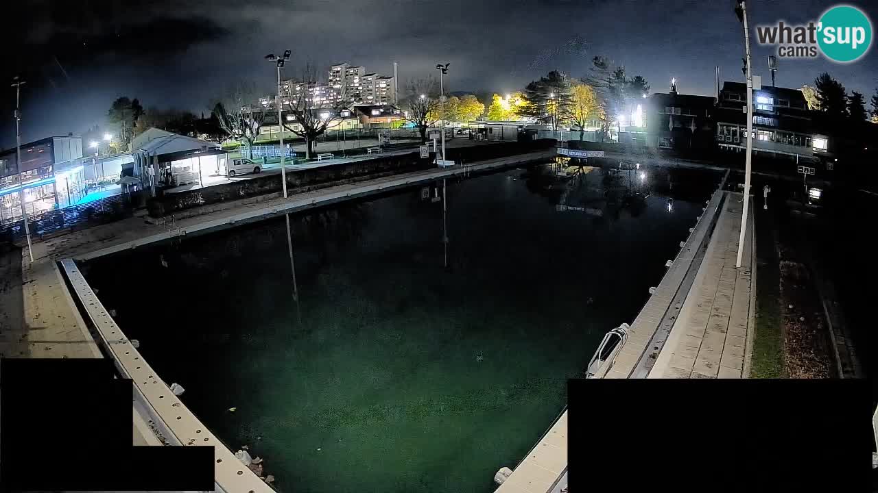 Cámara web Celje – Piscina principal