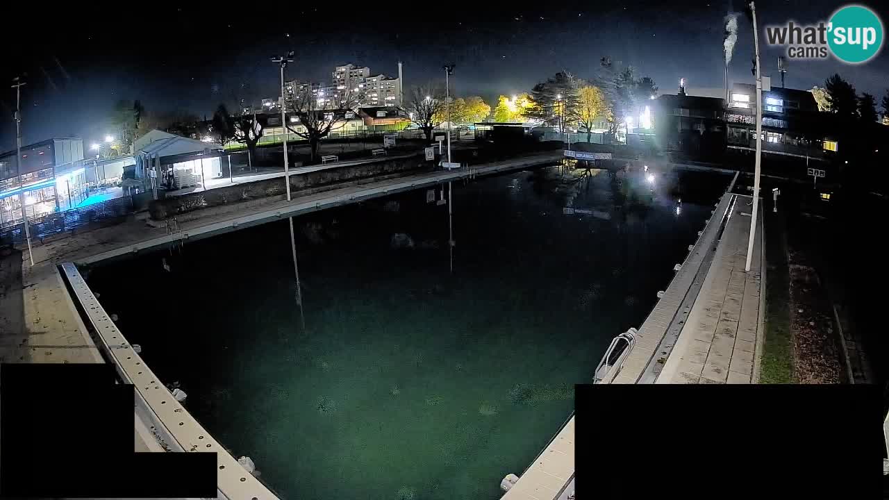Cámara web Celje – Piscina principal