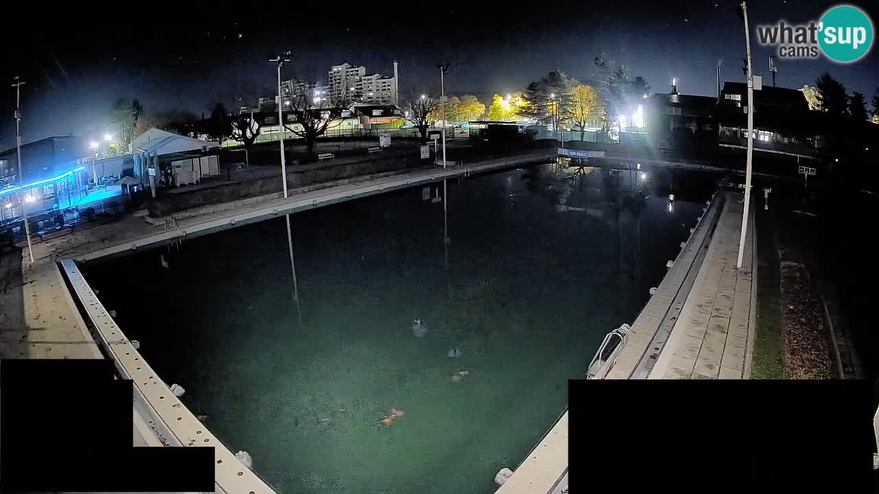Webcam Celje – Main swimming pool