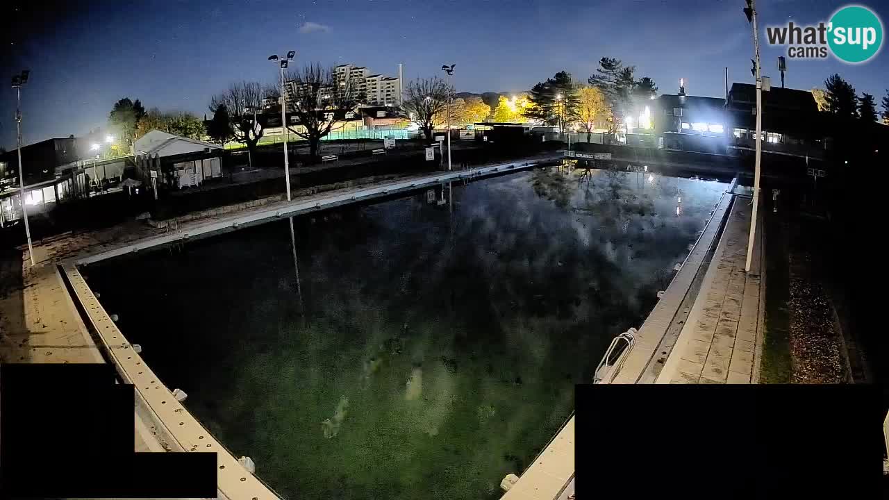 Webcam Celje – Main swimming pool