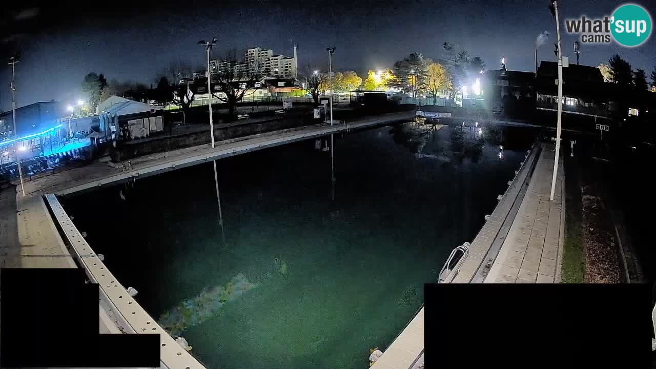 Webcam Celje – Hauptschwimmbad