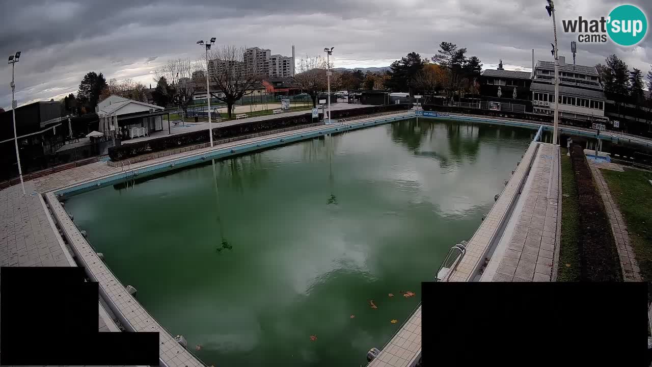 Webcam Celje – Main swimming pool